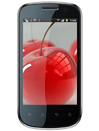 Best available price of Celkon A19 in Guyana