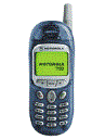 Best available price of Motorola T190 in Guyana