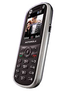 Best available price of Motorola WX288 in Guyana