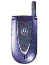 Best available price of Motorola V66i in Guyana