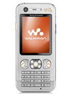 Best available price of Sony Ericsson W890 in Guyana